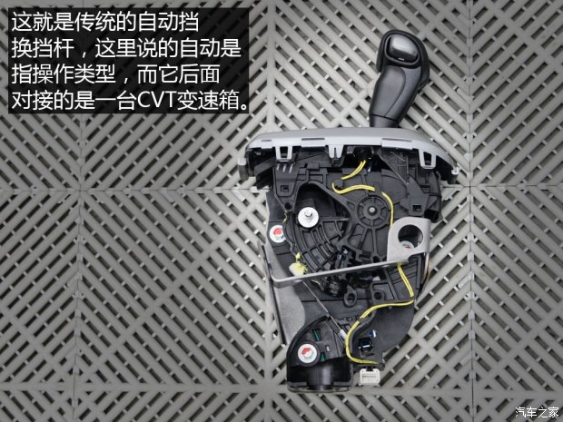 龙8官网之家