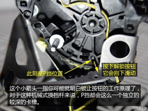 龙8官网之家