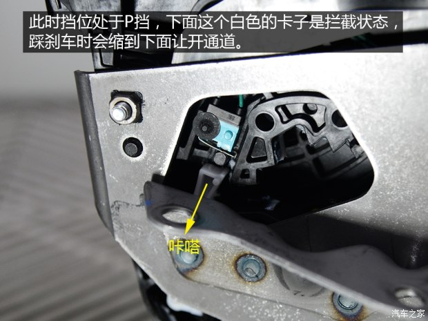 龙8官网之家
