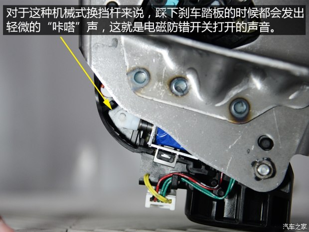 龙8官网之家